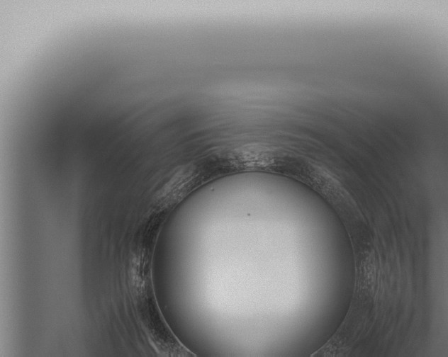 X0000059830218200510281806