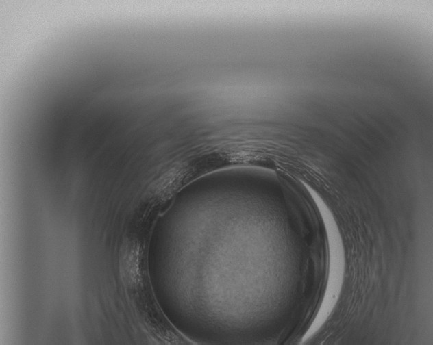 X0000059830219200510281806