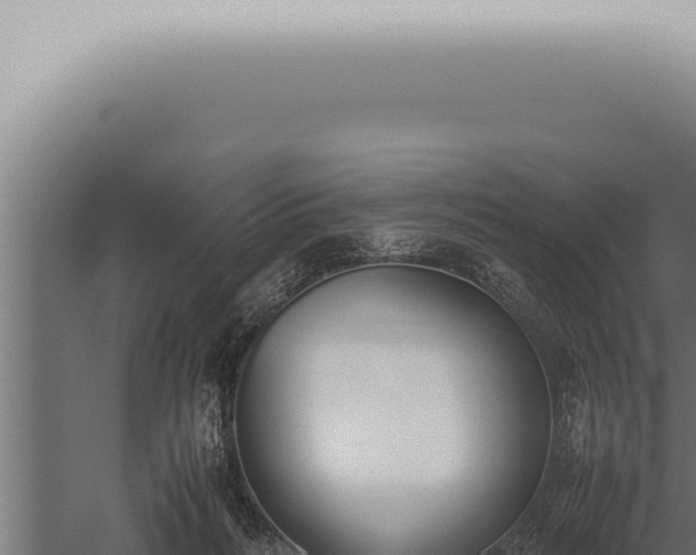 X0000059830220200510281806