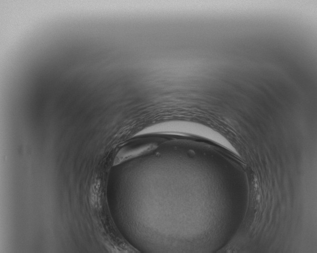 X0000059830223200510281806