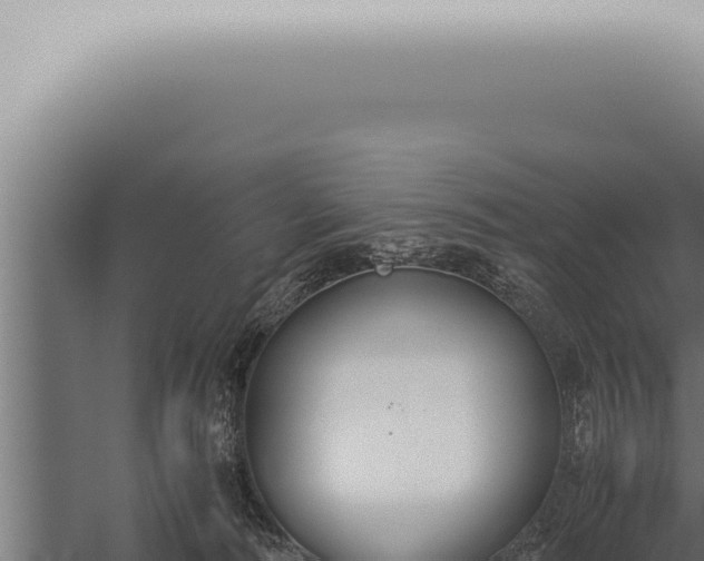 X0000059830226200510281806