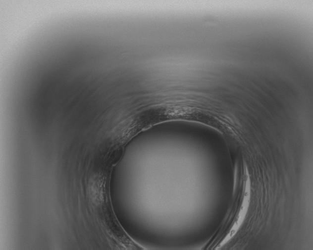 X0000059830227200510281806