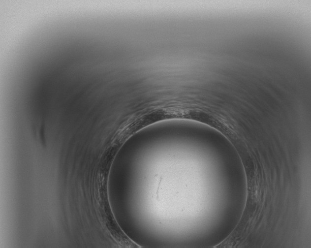 X0000059830229200510281806