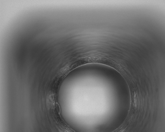 X0000059830232200510281806