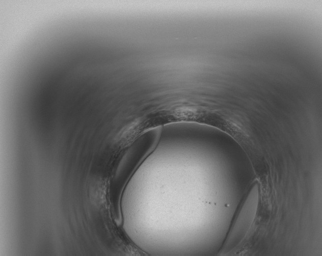 X0000059830233200510281806