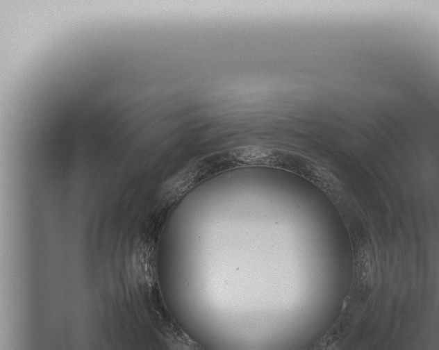 X0000059830234200510281806