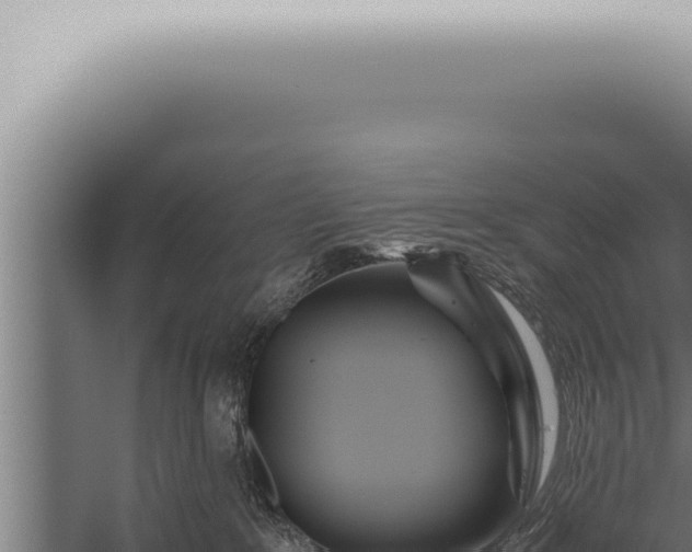 X0000059830235200510281806