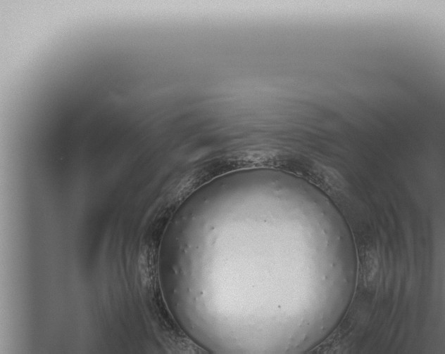 X0000059830236200510281806