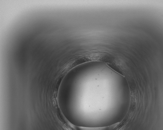 X0000059830237200510281806