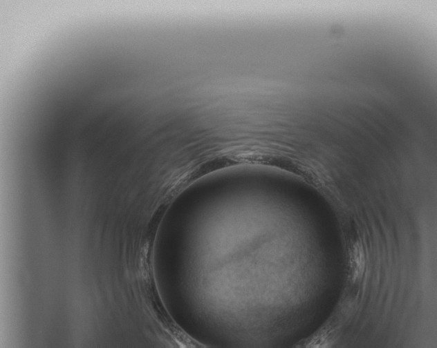 X0000059830239200510281806