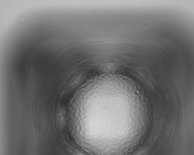 X0000059830240200510281806