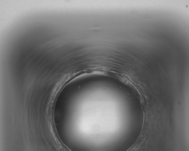 X0000059830241200510281805