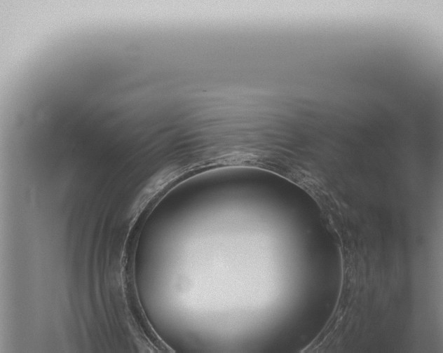 X0000059830242200510281805