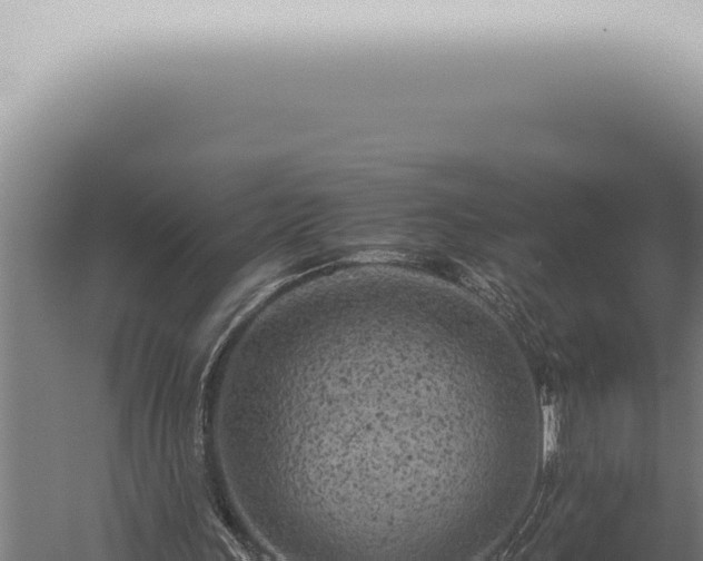 X0000059830243200510281805