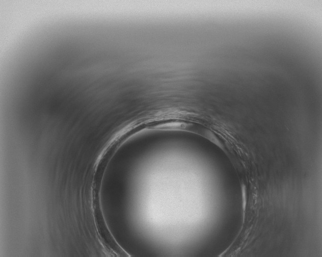 X0000059830244200510281805