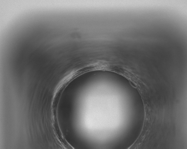 X0000059830245200510281805