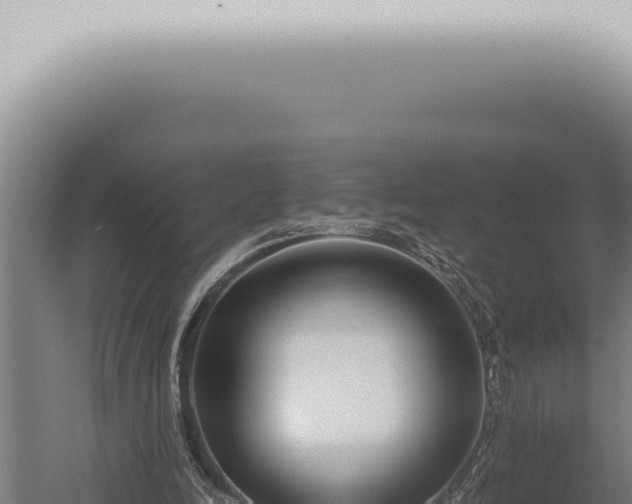 X0000059830246200510281805