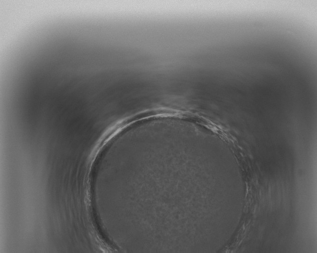 X0000059830247200510281805