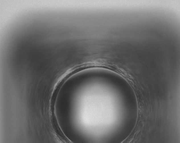 X0000059830248200510281805