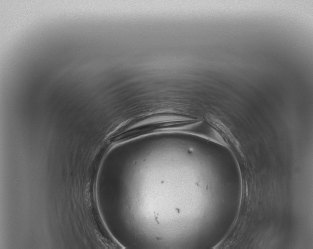 X0000059830249200510281805