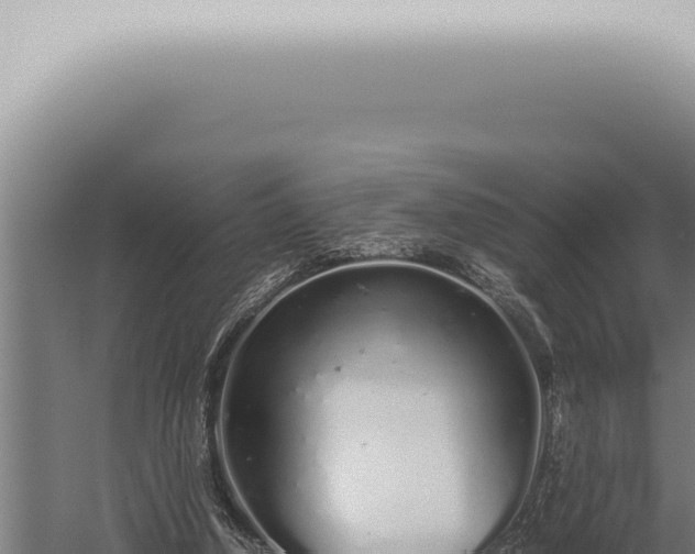 X0000059830250200510281805