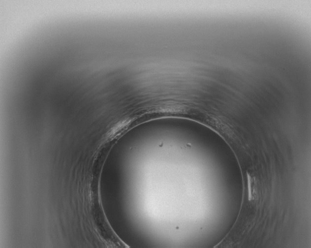 X0000059830252200510281805