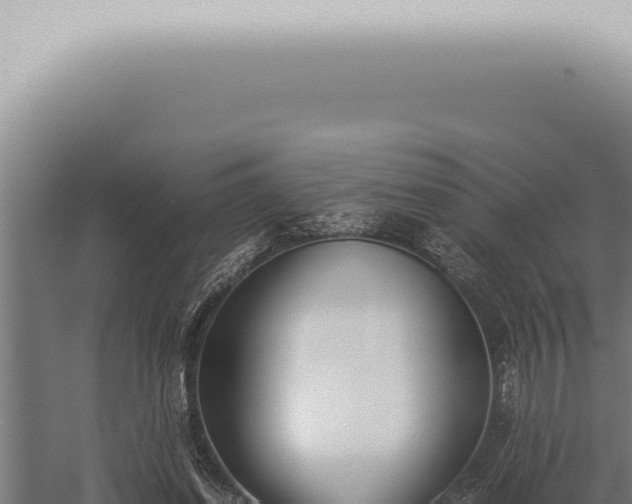 X0000059830254200510281805