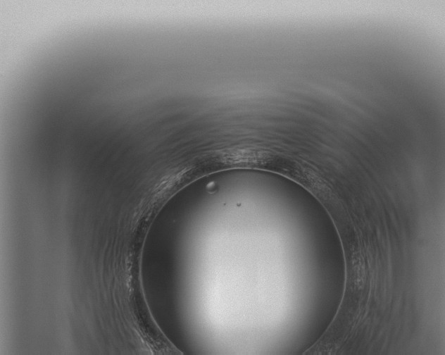 X0000059830255200510281805