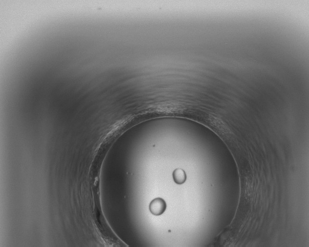 X0000059830256200510281805