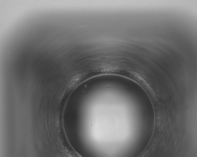 X0000059830257200510281805