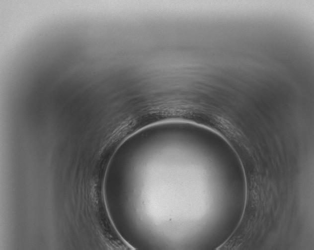 X0000059830258200510281805