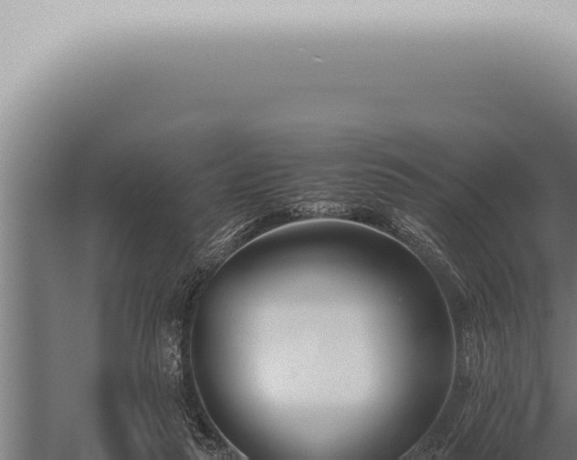 X0000059830259200510281805