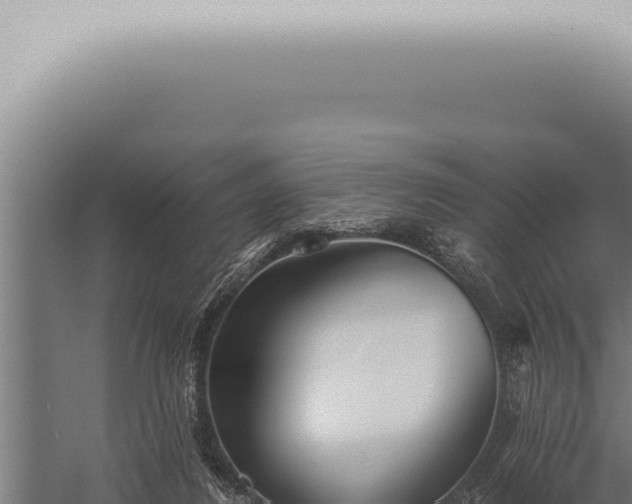 X0000059830260200510281805