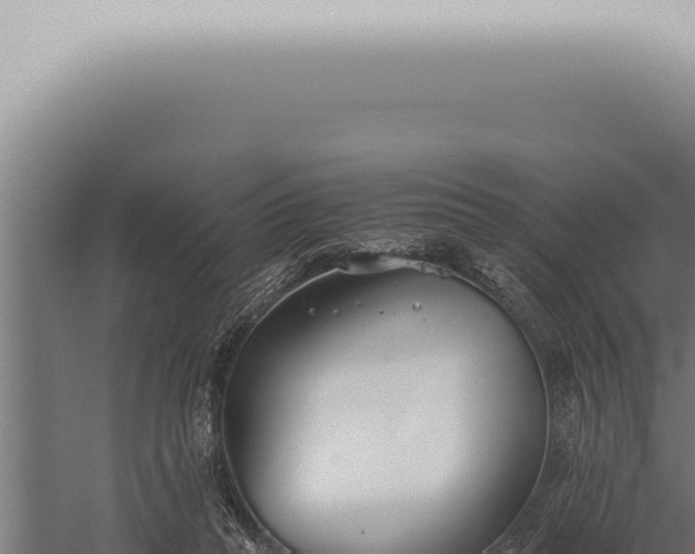 X0000059830261200510281805