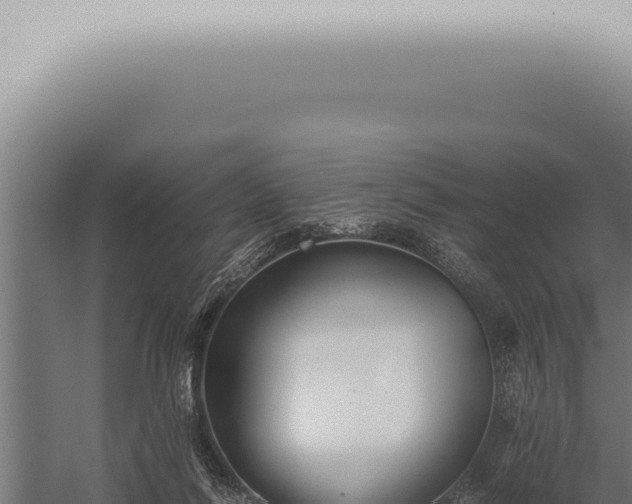 X0000059830262200510281805