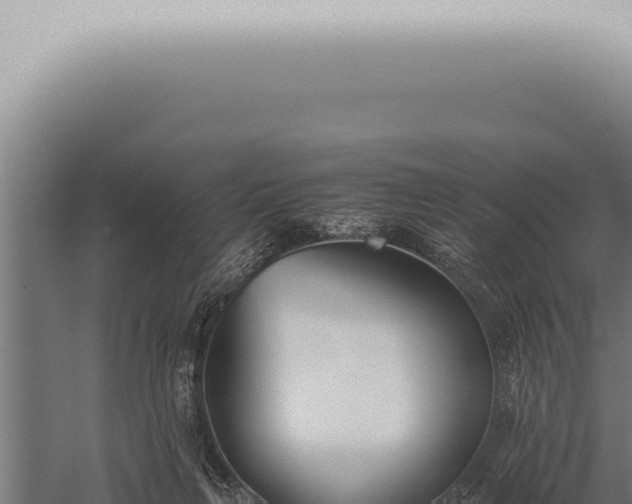 X0000059830263200510281805