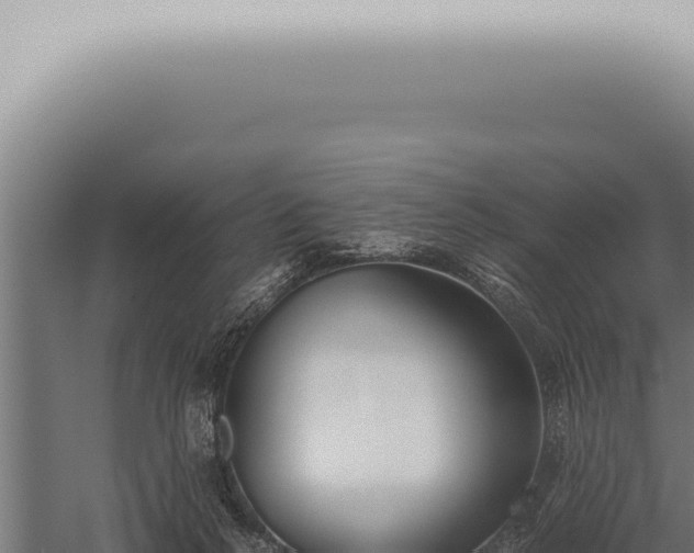 X0000059830264200510281805