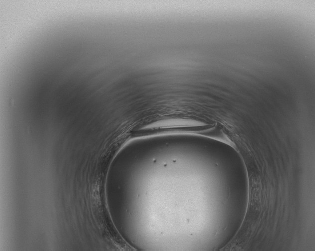 X0000059830269200510281805