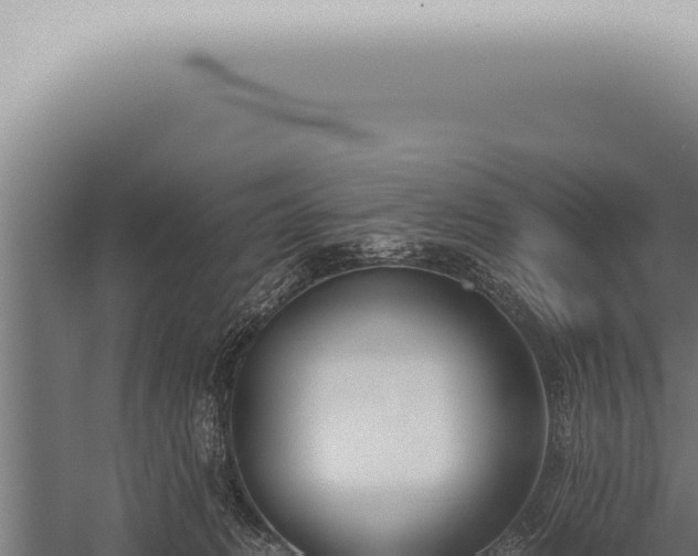 X0000059830270200510281805