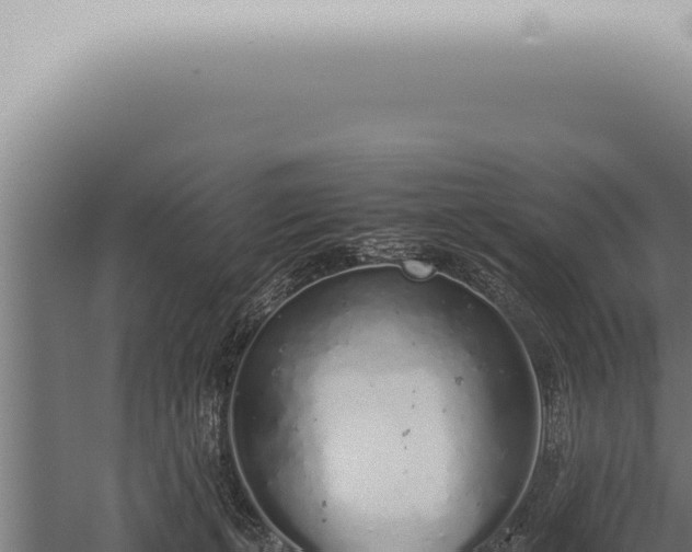 X0000059830271200510281805