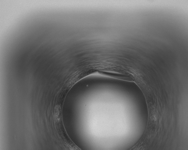 X0000059830273200510281805