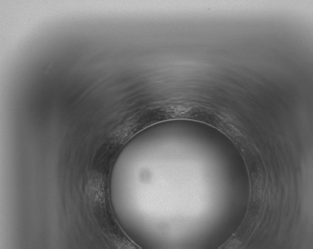 X0000059830274200510281805