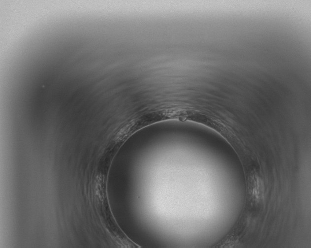 X0000059830280200510281806