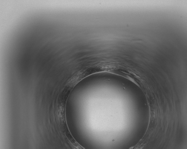 X0000059830281200510281806