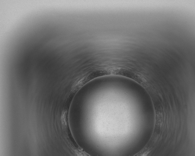 X0000059830286200510281806