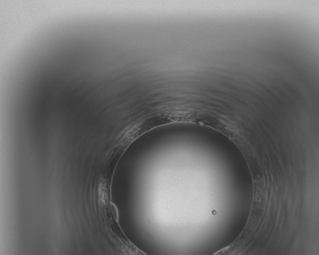 X0000059830287200510281806