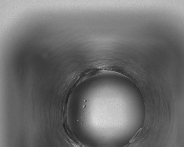 X0000059830288200510281806