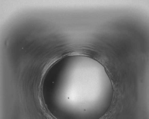 X0000059830289200510281805