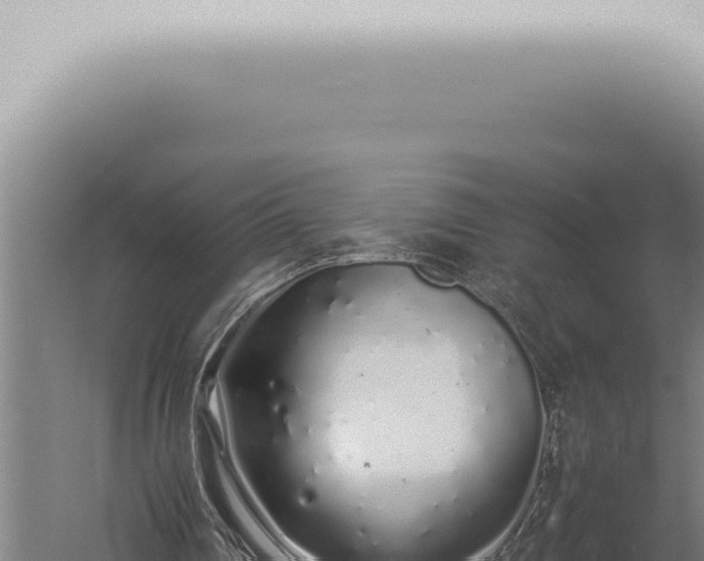 X0000059830290200510281805