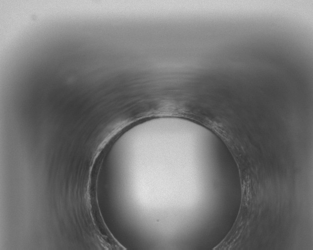 X0000059830292200510281805